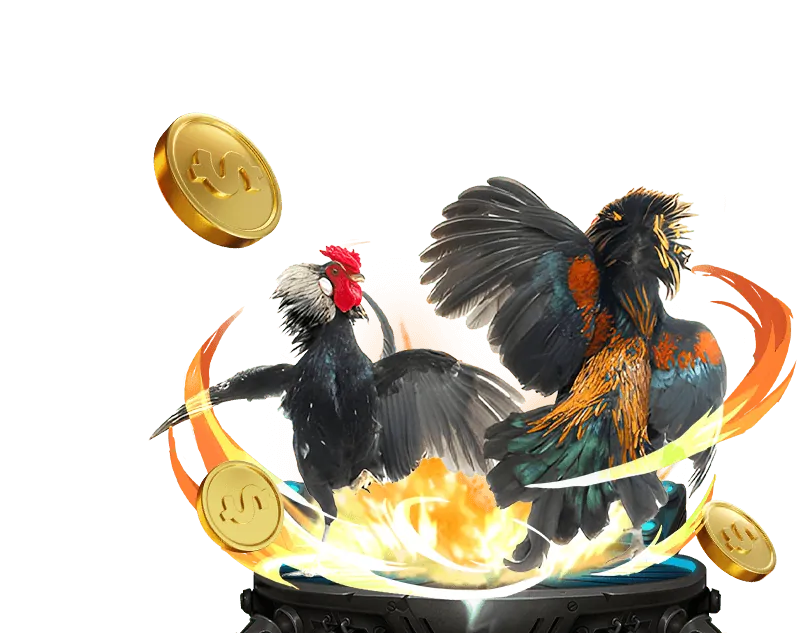 Mẹo cá cược thể thao và casino